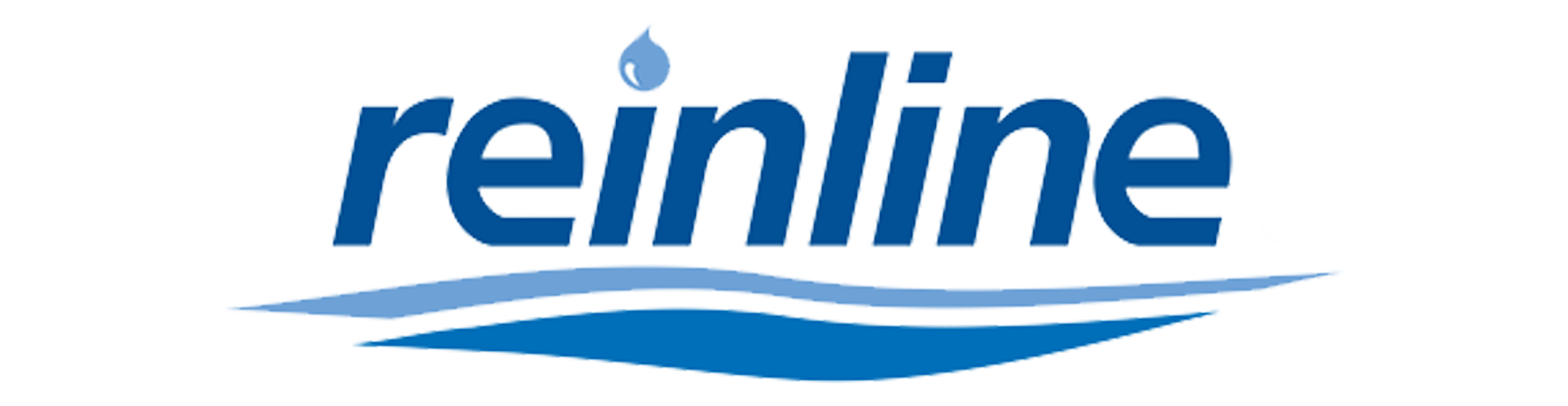 Reinlein Logo